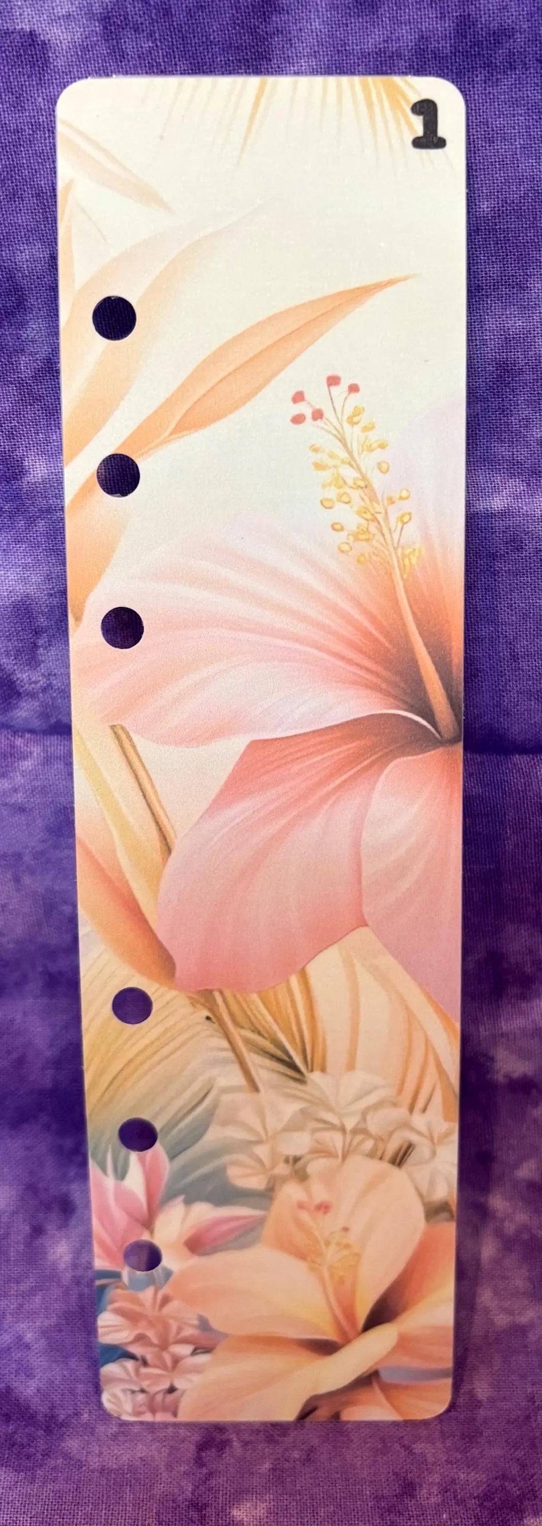 Register A6 Sommer (2026/125)