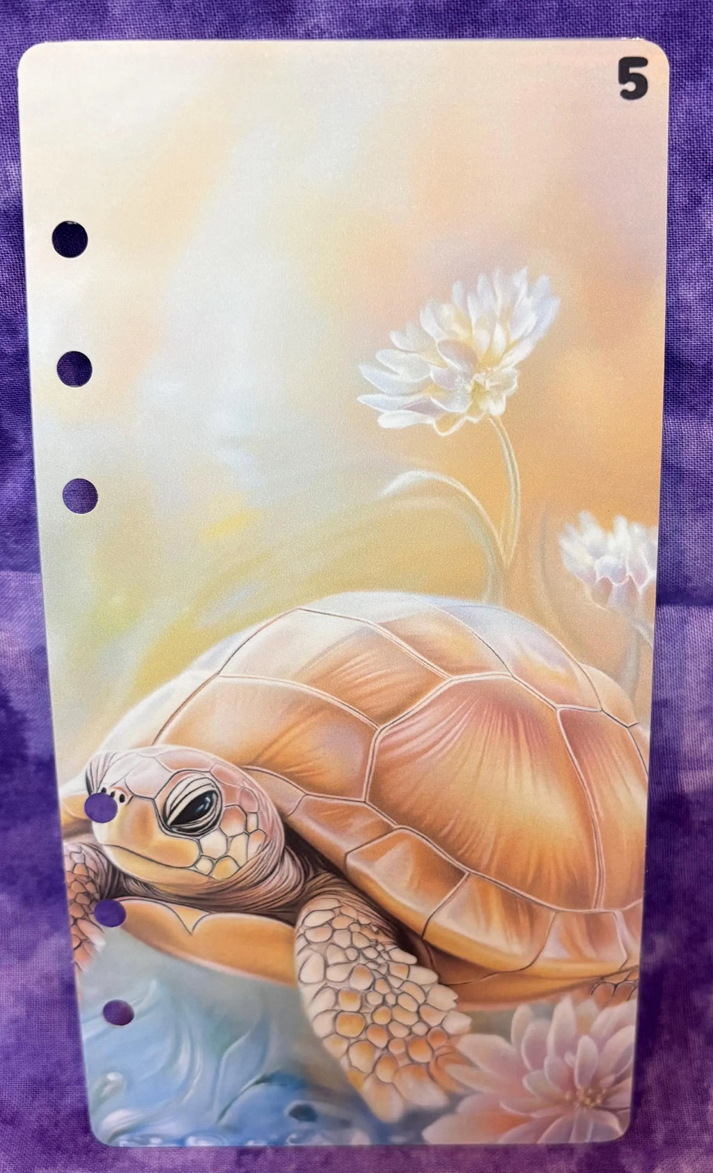 Register A6 Sommer (2026/125)